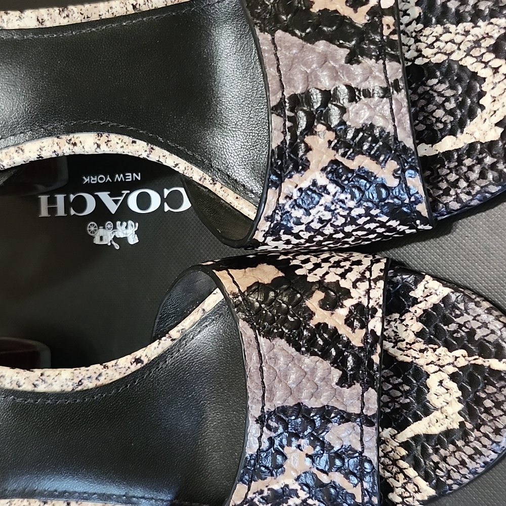 EUC (worn Once) Sz7M Coach Snakeskin Heels - Black and Tan - Picture 4 of 9